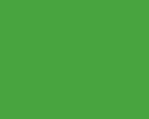 Green Screen für digitale Hintergründe Green Screen für digitale Hintergründe"
